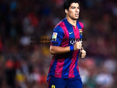 BBIN真人-德甲俱乐部暖心举措，为中国球迷赴德观赛樊振东提供专属接驳服务