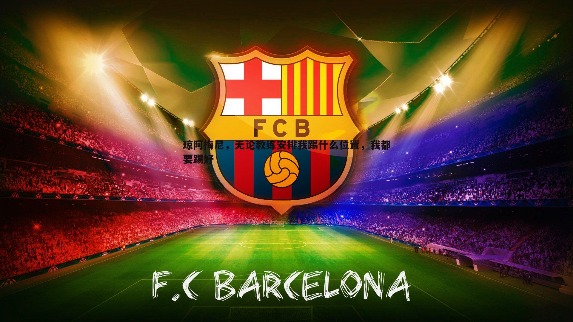 琼阿梅尼，无论教练安排我踢什么位置，我都要踢好