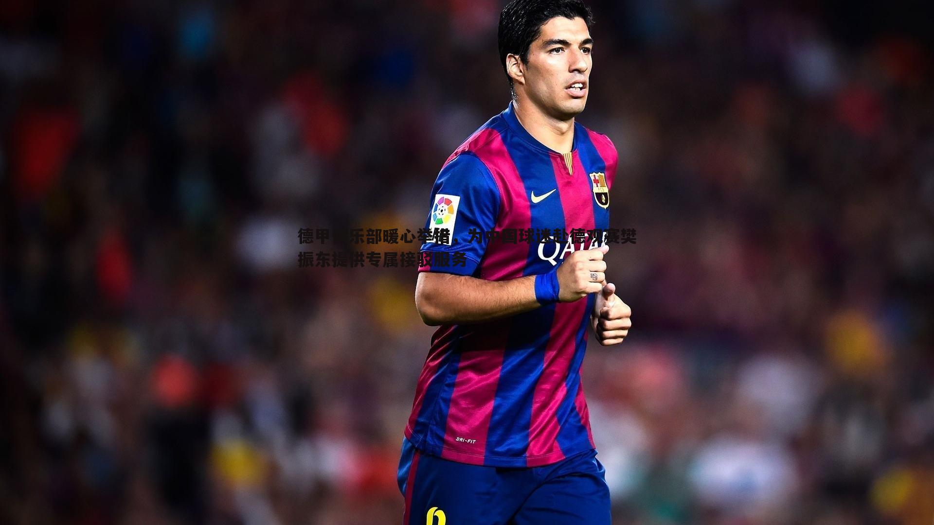 德甲俱乐部暖心举措,为中国球迷赴德观赛樊振东提供专属接驳服务