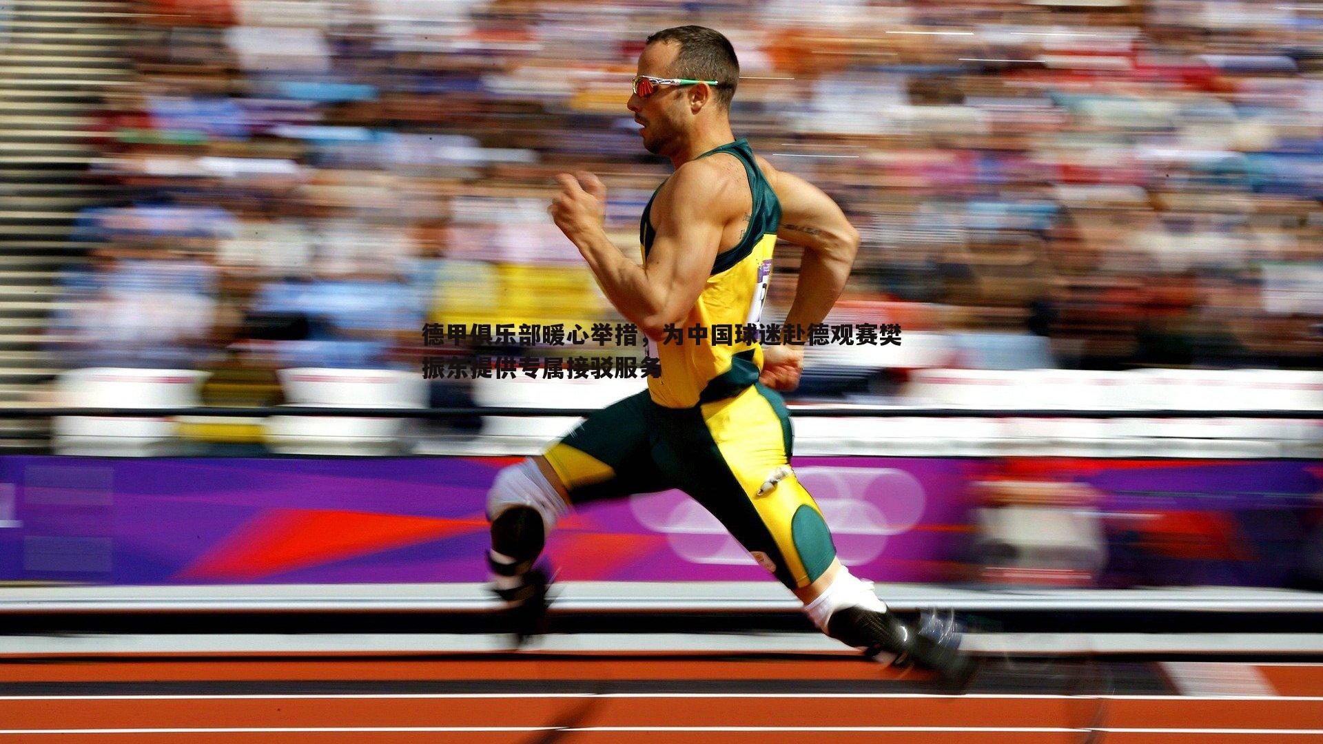 德甲俱乐部暖心举措,为中国球迷赴德观赛樊振东提供专属接驳服务